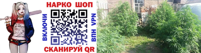 Наркошоп купить ГАШ Бошки Шишки Мефедрон Перевоз