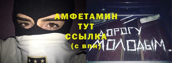 индика Зеленокумск