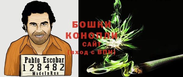 индика Зеленокумск