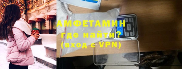 индика Зеленокумск