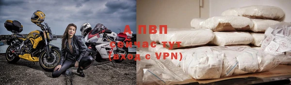 индика Зеленокумск