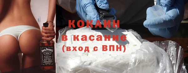 индика Зеленокумск