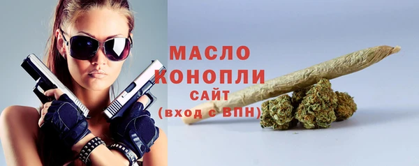 индика Зеленокумск