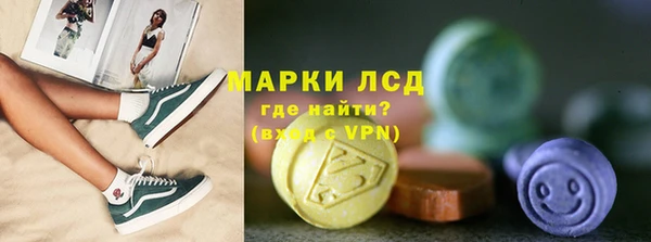 индика Зеленокумск