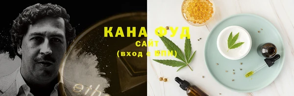 индика Зеленокумск