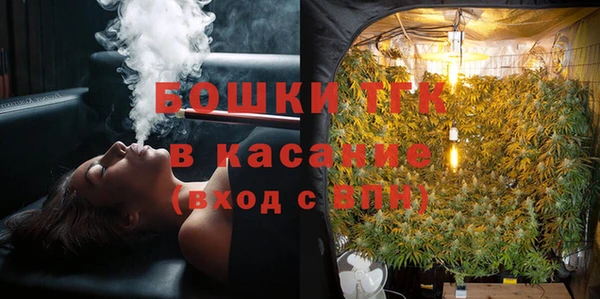 сатива Зерноград
