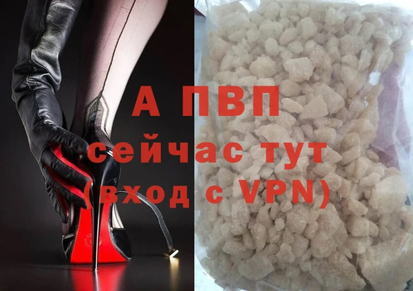 индика Зеленокумск