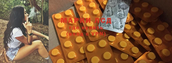 индика Зеленокумск