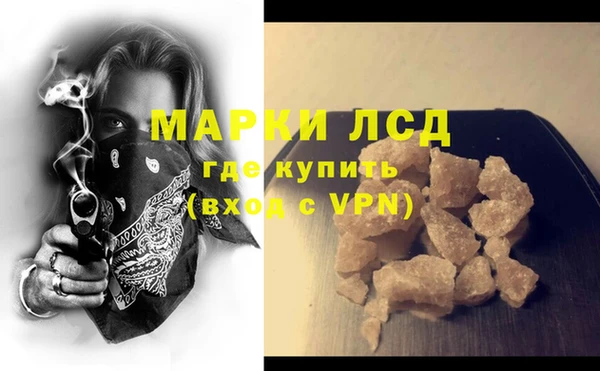 сатива Зерноград