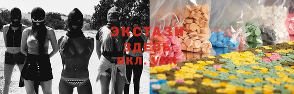 сатива Зерноград