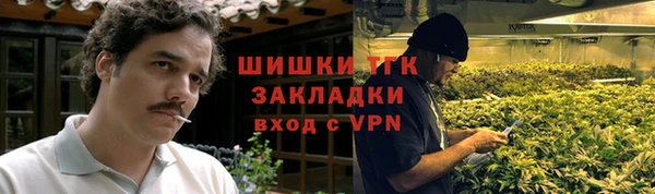 индика Зеленокумск