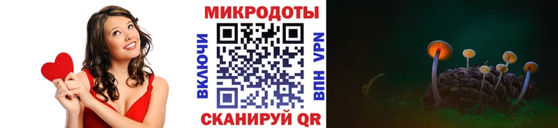Купить  Перевоз  Галлюциногенные грибы Psilocybe 